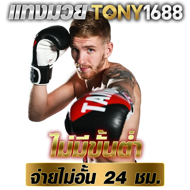 แทงมวย Tony1688.net ไม่มีขั้นต่ำ จ่ายไม่อั้น 24 ชม.